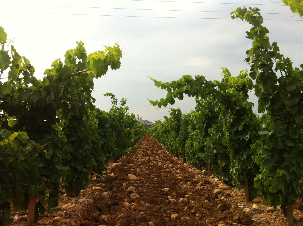 Vallée du Rhône