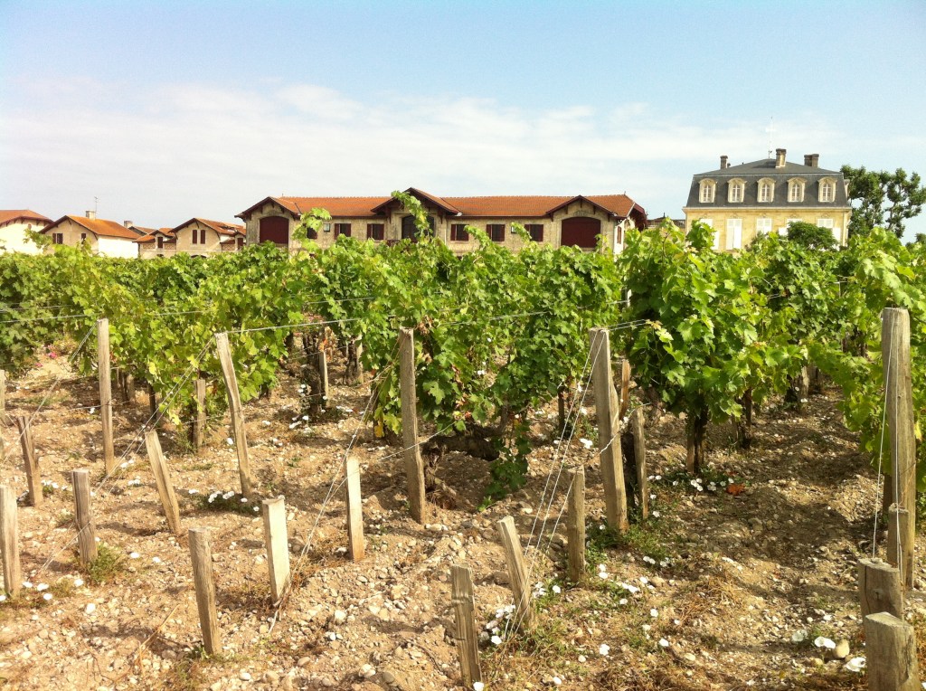 Bordeaux: Pauillac och&nbsp;Médoc