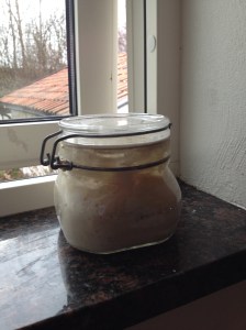 Min surdeg, på sin vanliga plats i fönstret. Där bor den när den är nymatad, som nu, när den halverades och matades för två timmar sedan. I eftermiddag flyttar den in i kylen.