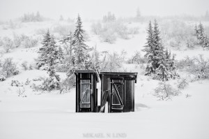 11586819873_49d0e55dbe_o