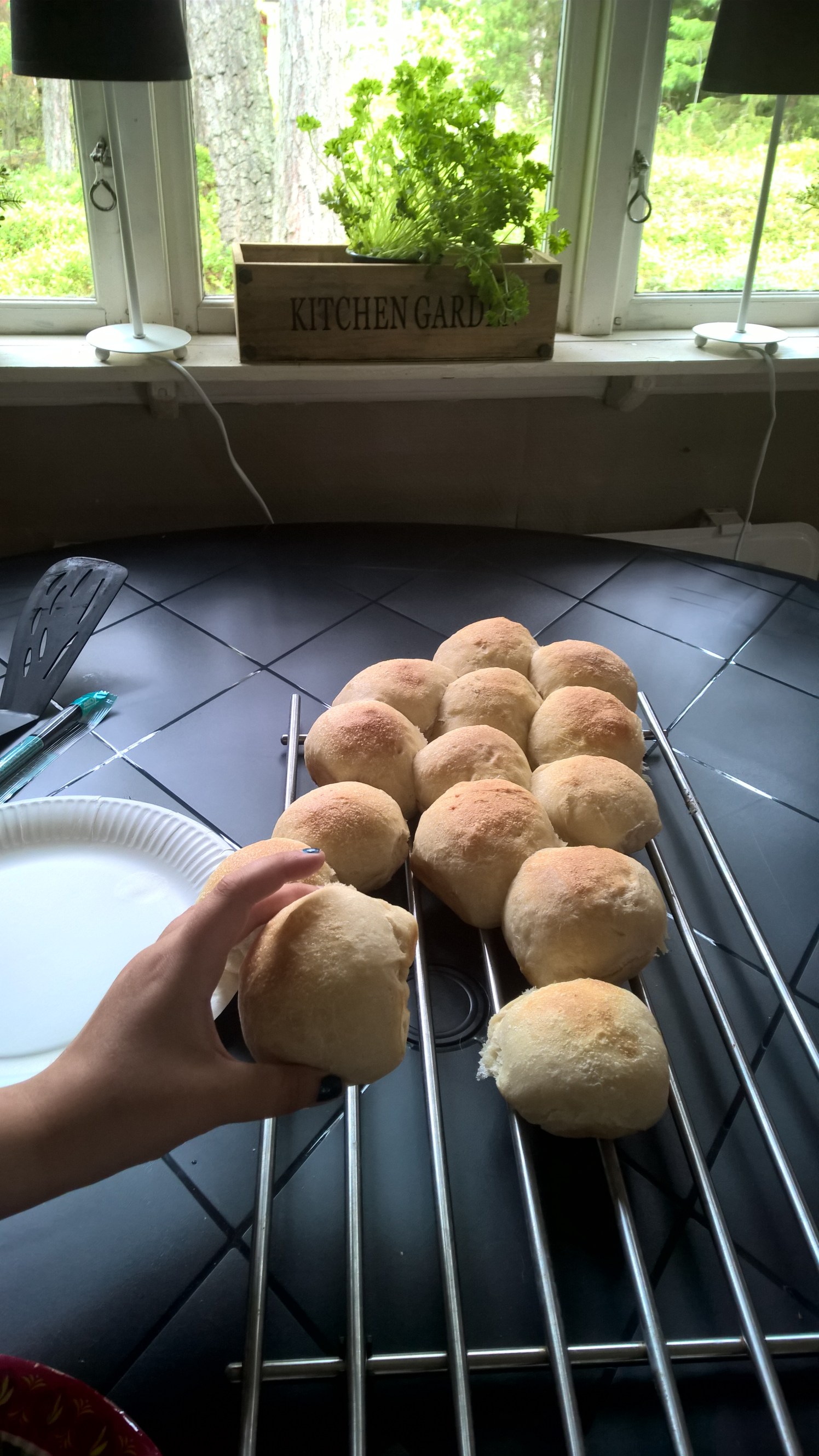 WP_20160626_12_36_37_Pro